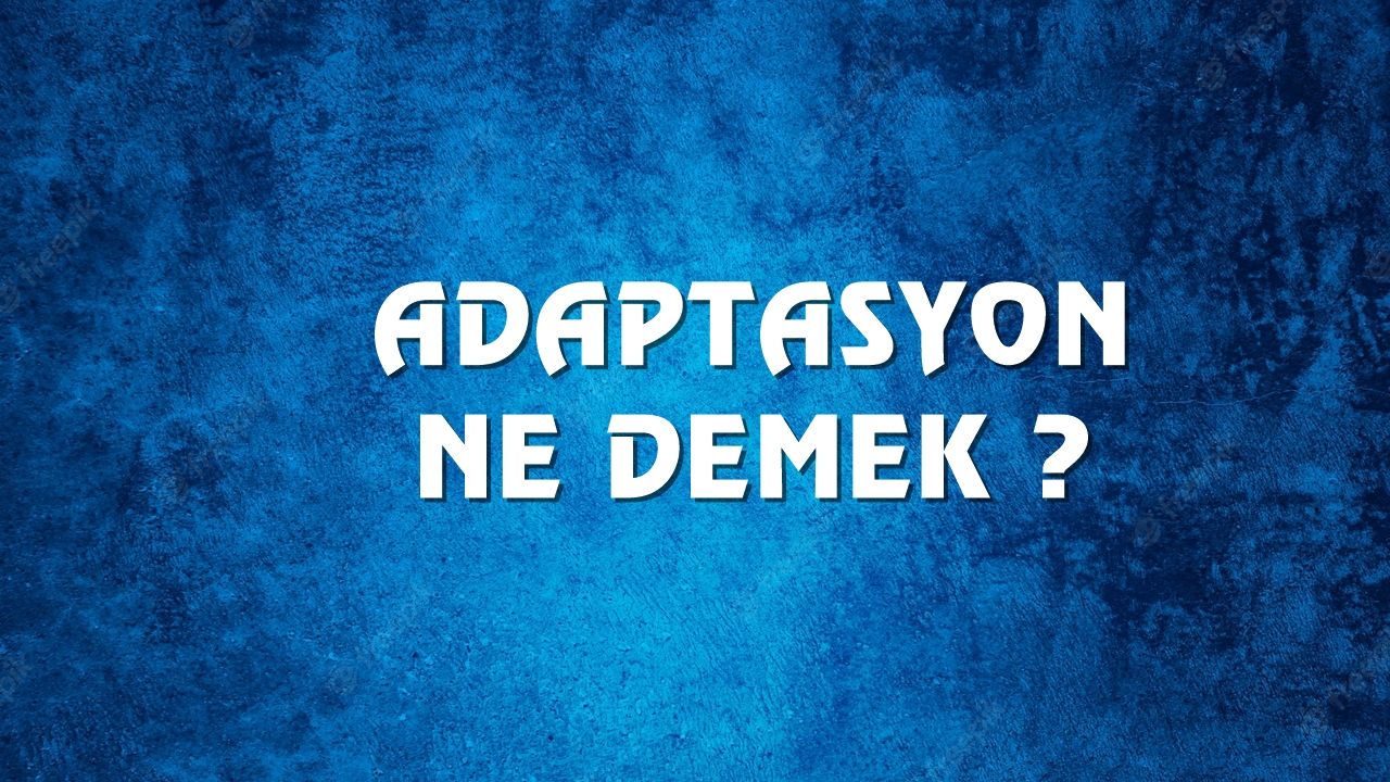 Adaptasyon Ne Demek Ne Anlama Gelir Adaptasyon Kelimesi TDK Sözlük