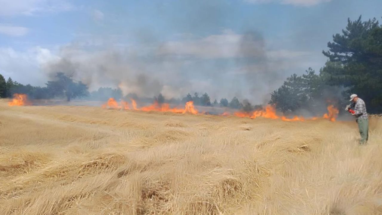 Karabük’te ekin tarlasında yangın: 4 dekar alan zarar gördü