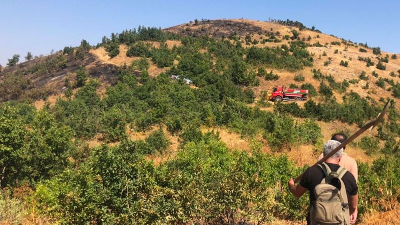 Orman Genel Müdürlüğü: Şemdinli’de çıkan yangına müdahalemiz devam ediyor