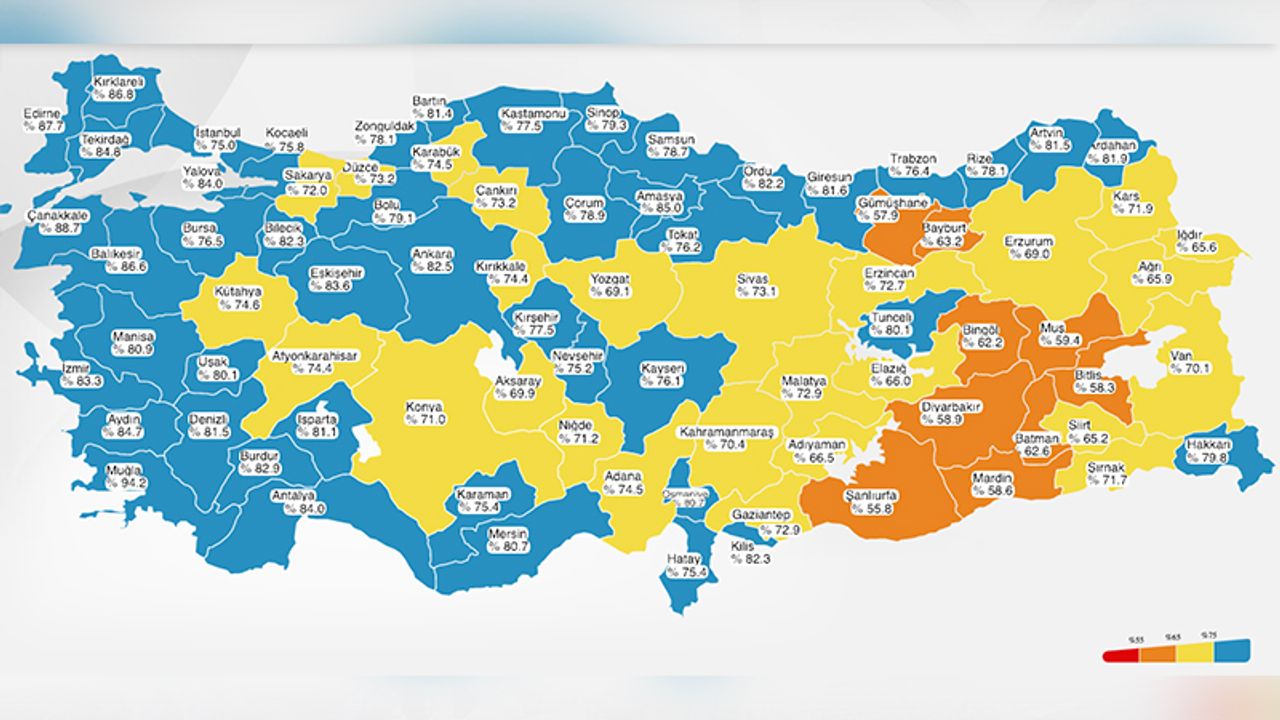 İstanbul'un, koronavirüs aşı haritasında mavi renge döndü
