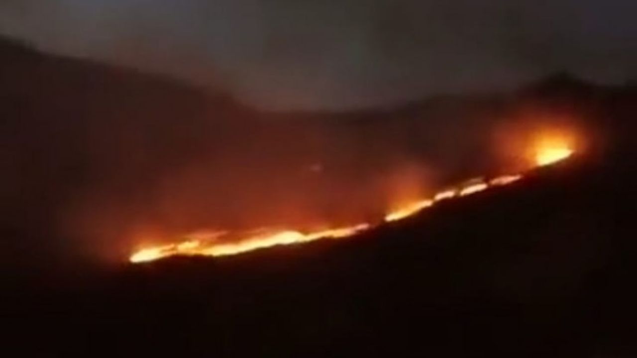 Belçika'daki orman yangınında 170 hektarlık alan zarar gördü
