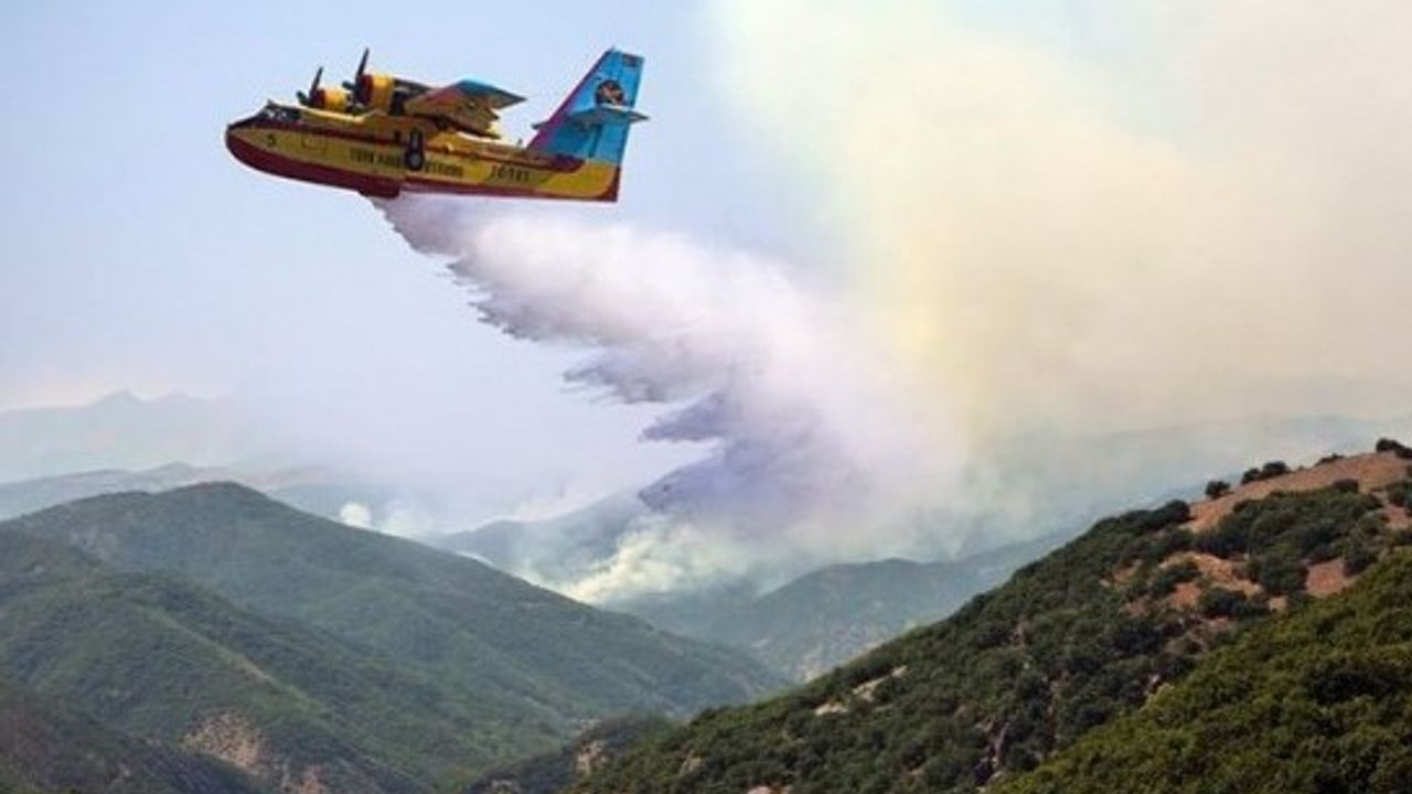 AKP'den orman yangınına Photoshop'la müdahale!