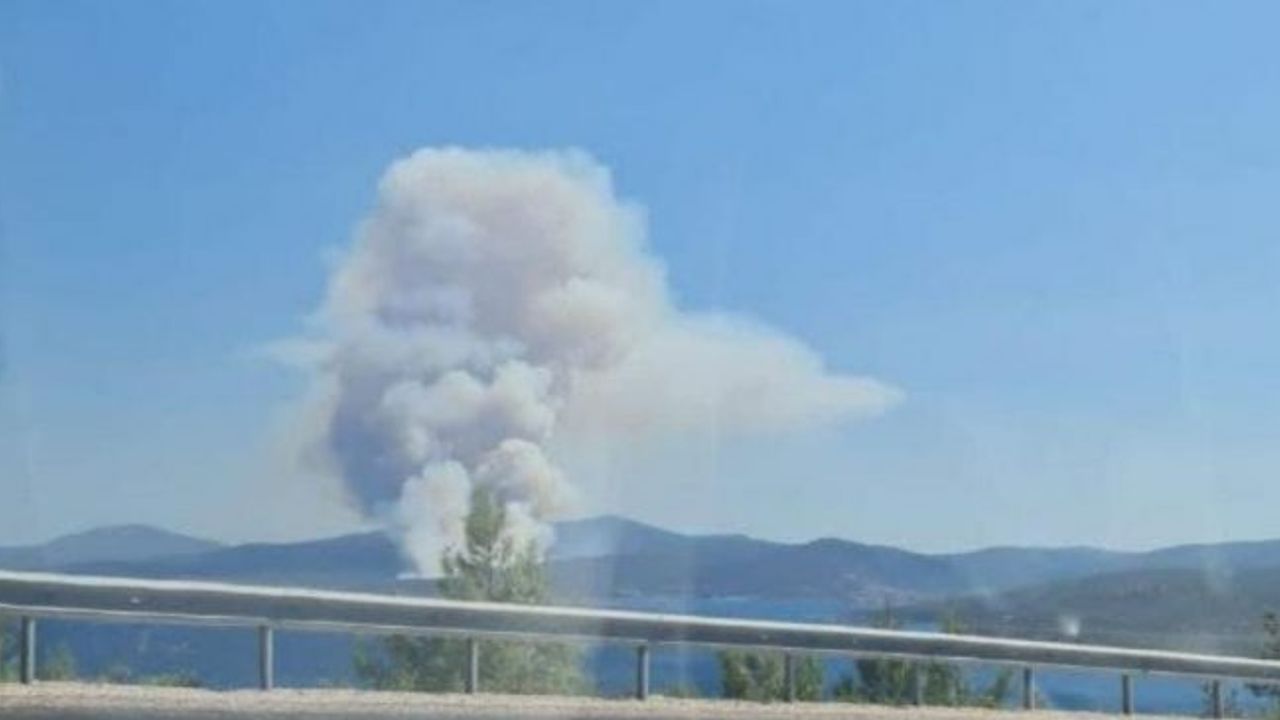 İzmir'in Urla’da ilçesinde orman yangını çıktı