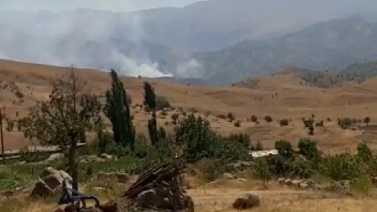Şırnak Besta’da orman yangını