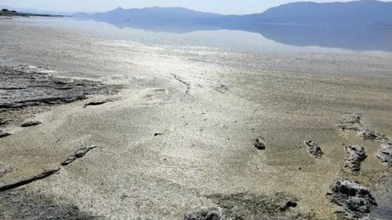 Burdur Gölü'nde alg patlaması: Canlılar tehlike altında