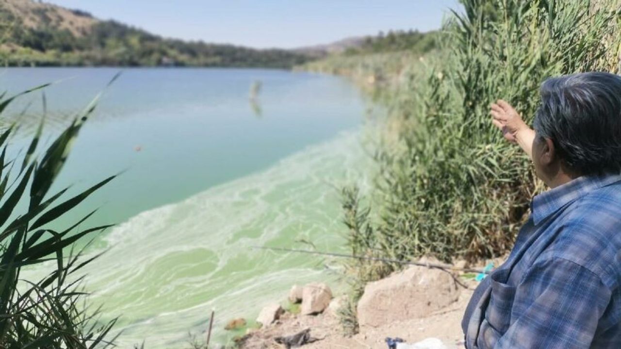 Ankara'da Eymir Gölü de kirlendi