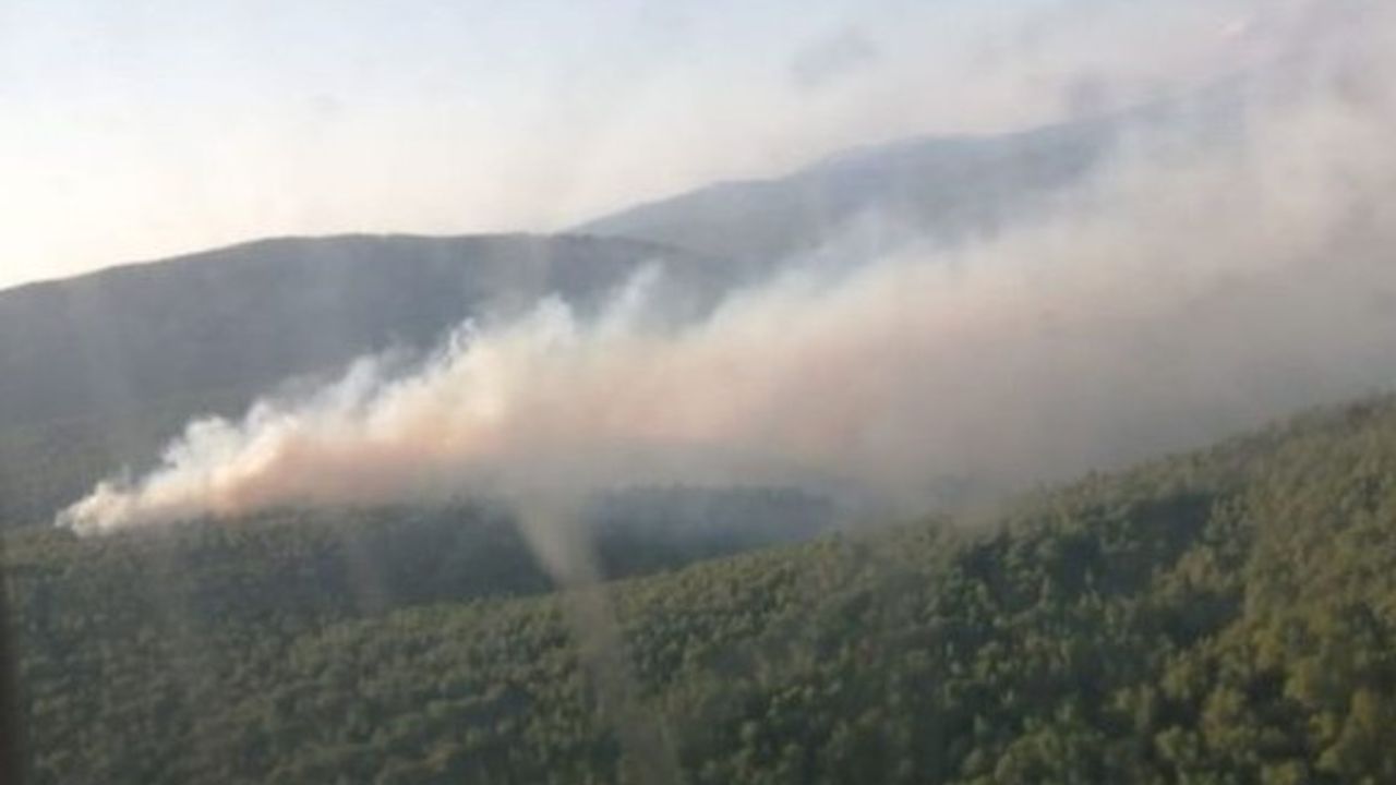 İzmir Çeşme'de orman yangını
