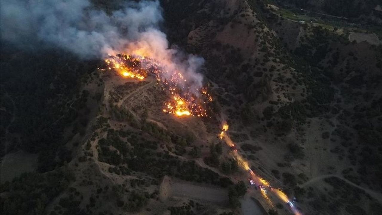 Manisa'daki orman yangınında 10 dönüm alan zarar gördü