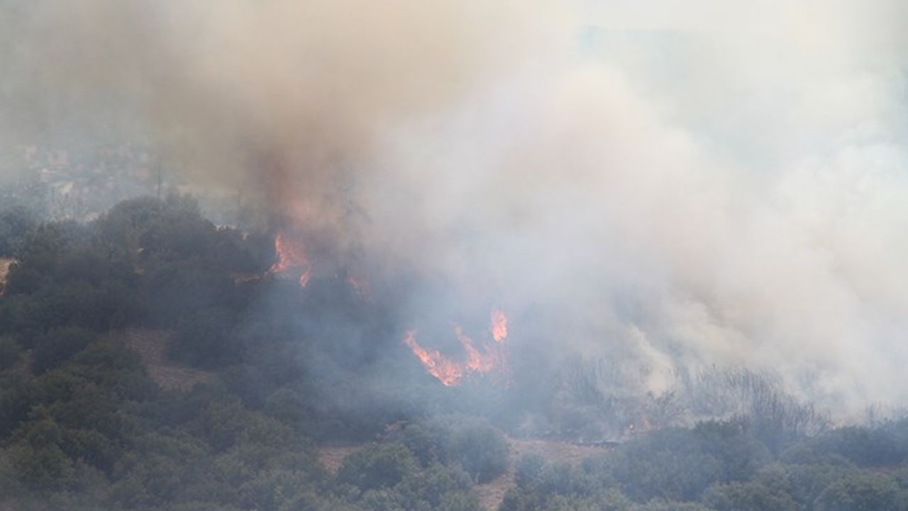 Orman Genel Müdürlüğü: 7 orman yangınının tamamını kontrol altına aldık