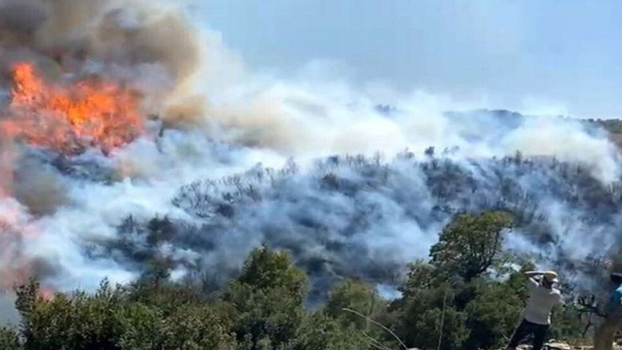 Muğla ve Aydın'da 6 noktada orman yangınları devam ediyor