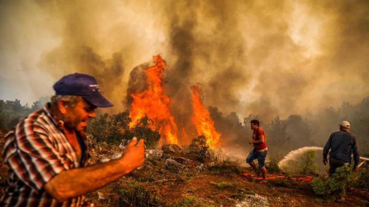Samsun'da ormanlık alanda meydana gelen yangında 7 hektarlık alan zarar gördü