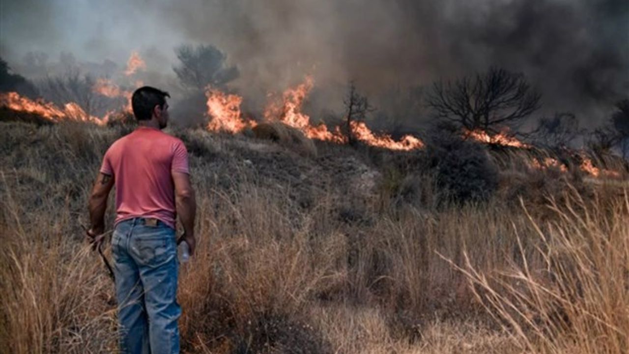 Yunanistan'da orman yangınları yeniden başladı