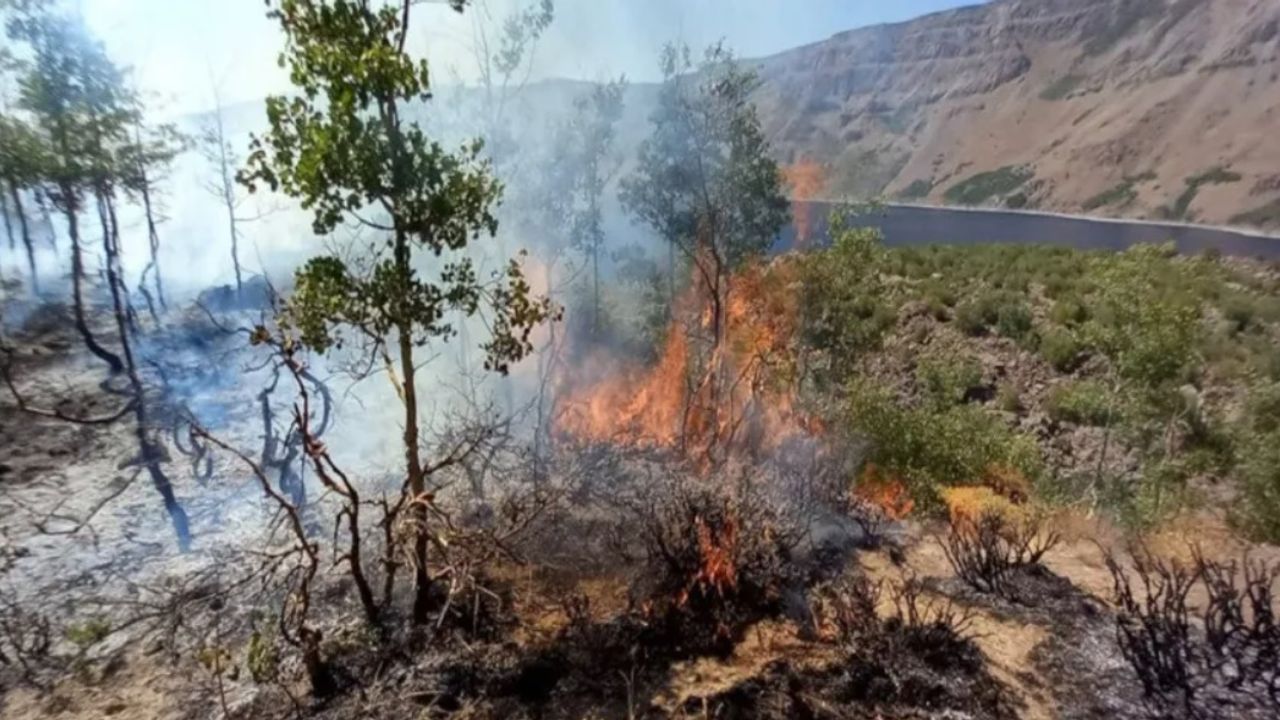 Nemrut Kalderası’nda orman yangını çıktı