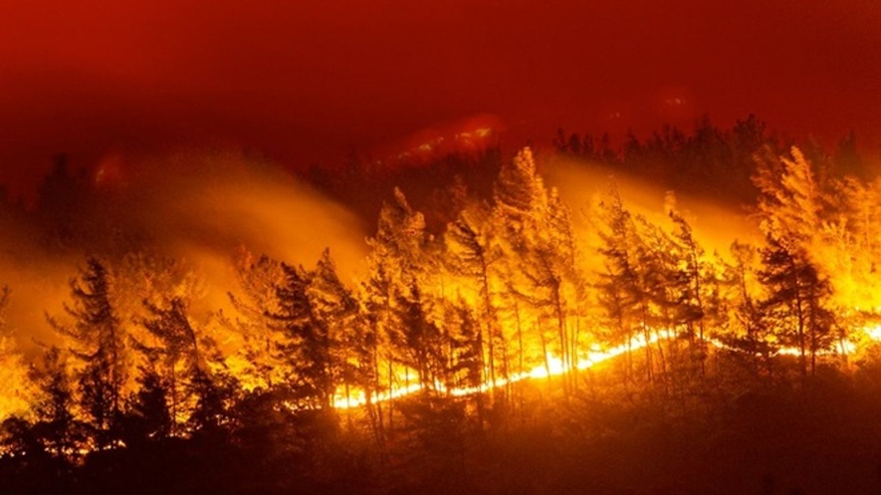 Yunanistan'da orman yangınları önlenemiyor
