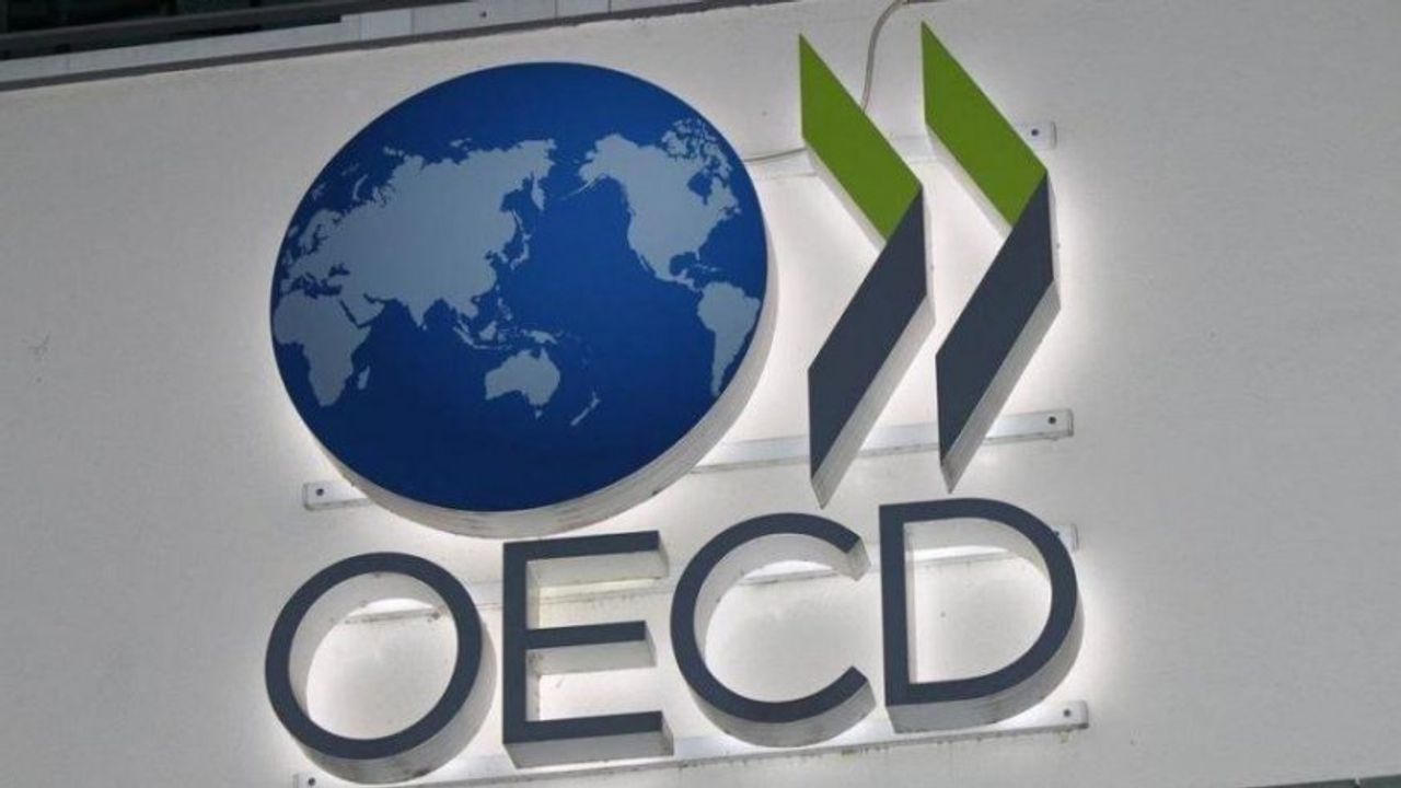 OECD'den Türkiye'ye bir iyi bir kötü haber