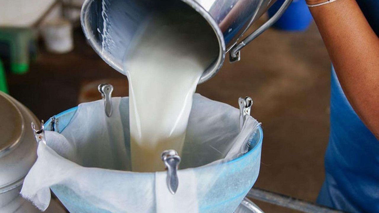 TÜİK açıkladı: İçme sütü üretiminde bir ayda yüzde 4,9 azalma