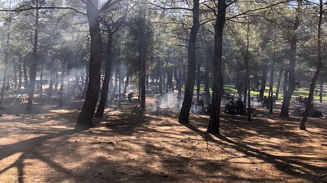 İzmir'de 26 ormanlık alanda piknik yasaklandı