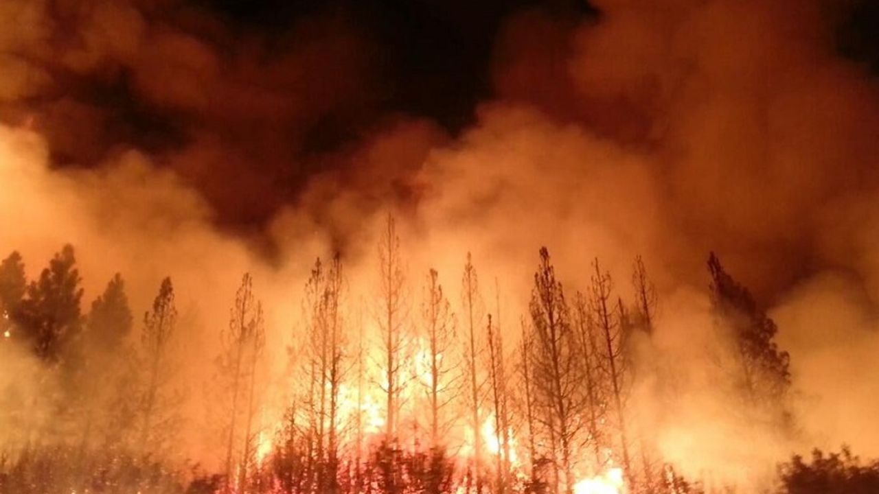 Marmaris'te orman yangını çıktı: Rüzgar alevleri büyütüyor