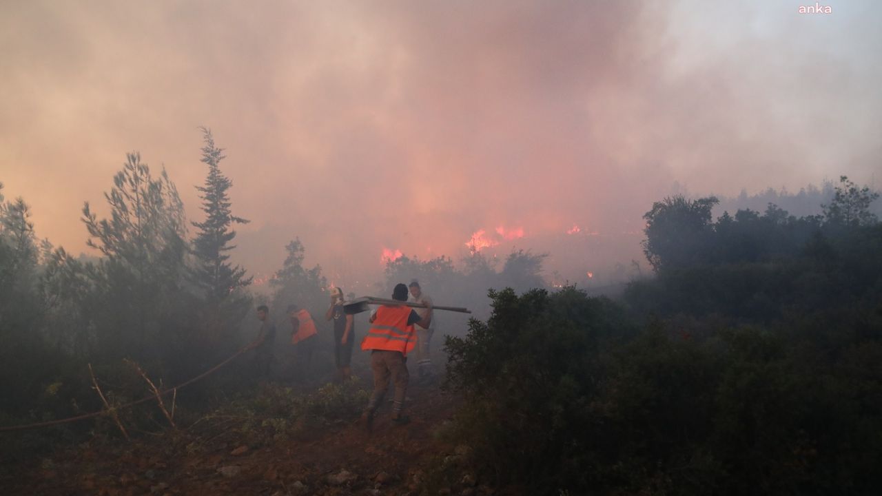 Bodrum Belediyesi halkı orman yangınlarına karşı duyarlı olmaya çağırdı
