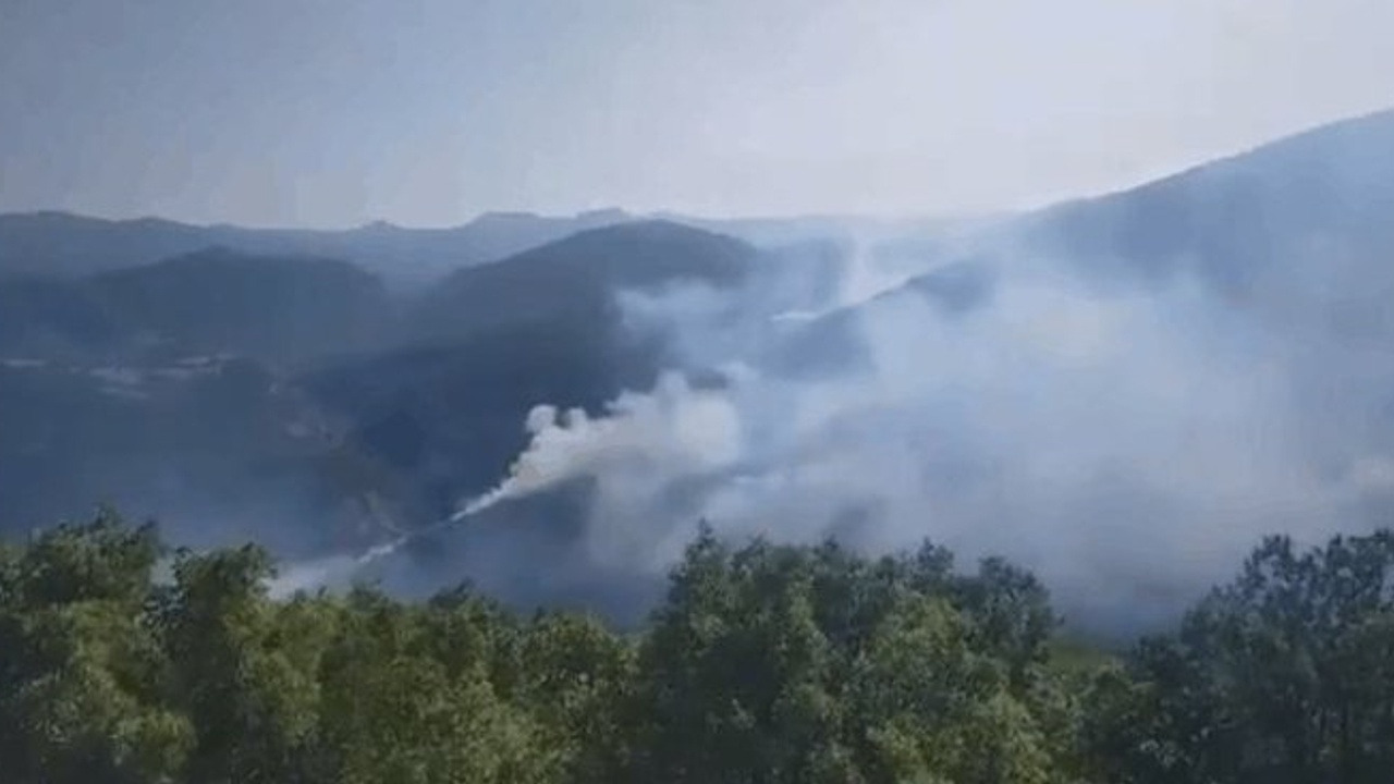 Karaburun'daki orman yangını kontrol altına alındı
