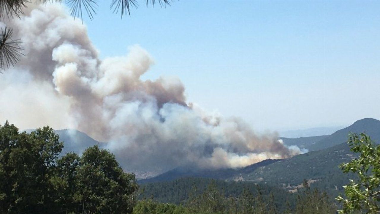Balıkesir ve Aydın'daki orman yangınları kontrol altına alındı