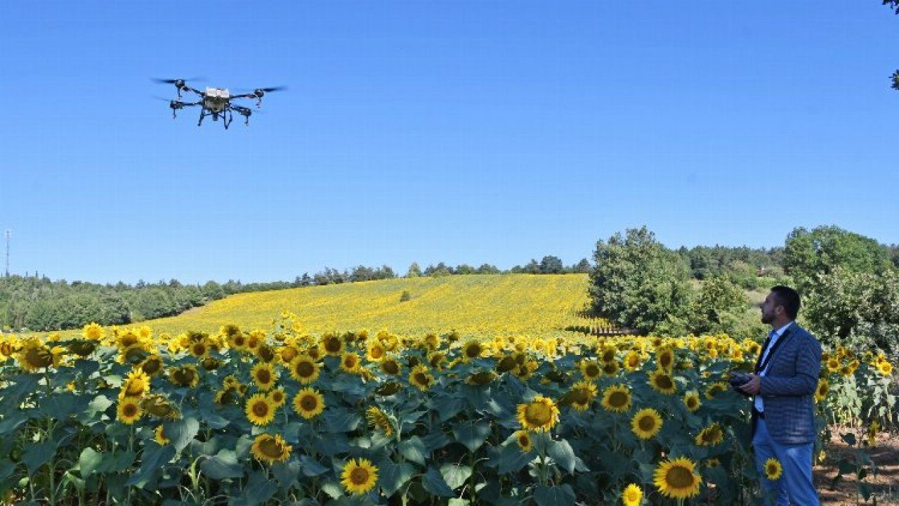 Bursa Kestel’de çayır tırtılına drone önlemi