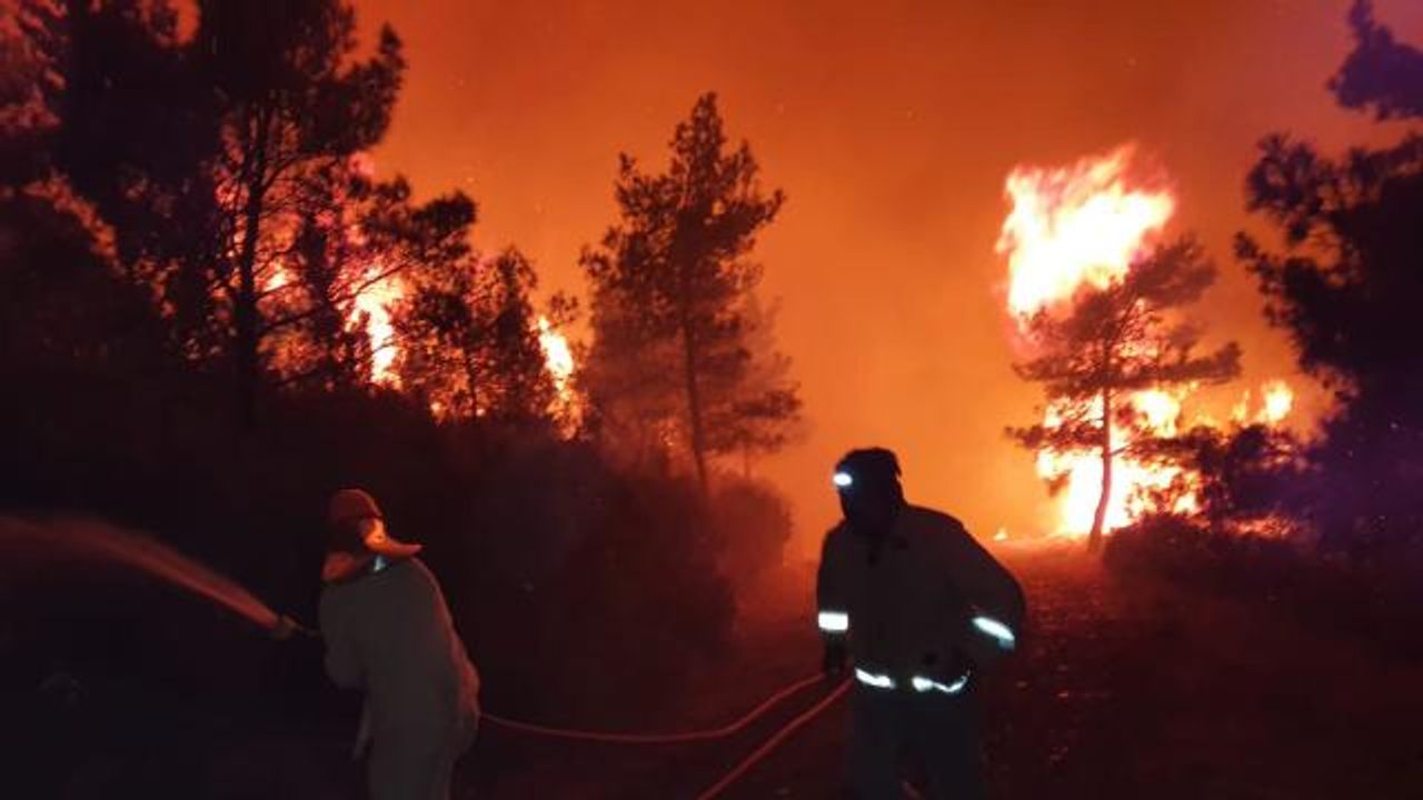 AFAD Orman yangınlarına karşı uyardı: Yangın riski artabilir