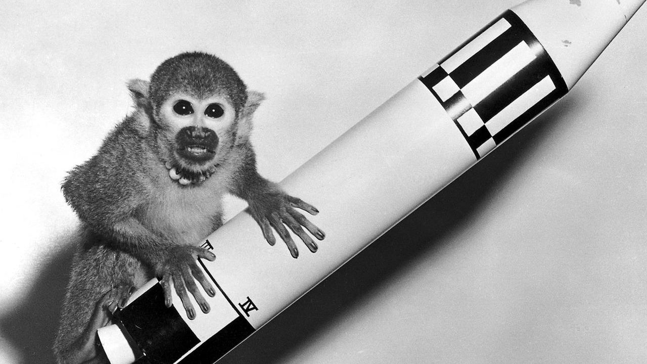 Dünyanın ilk astronotları maymunlardı: Nasıl gittiler, neler yaşadılar?