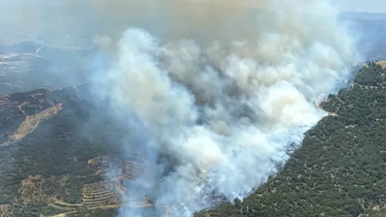 İzmir'de iki ayrı orman yangını