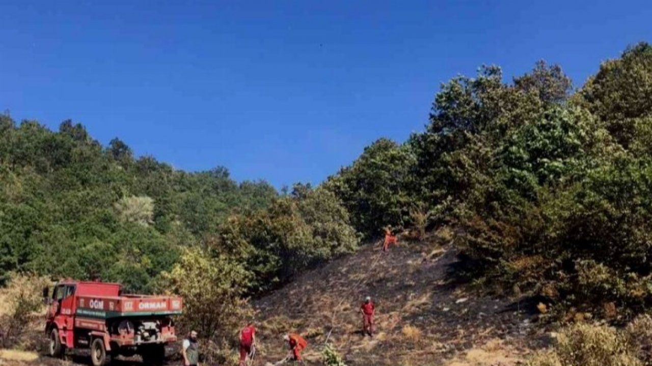 Bingöl'de orman yangını kontrol altına alındı