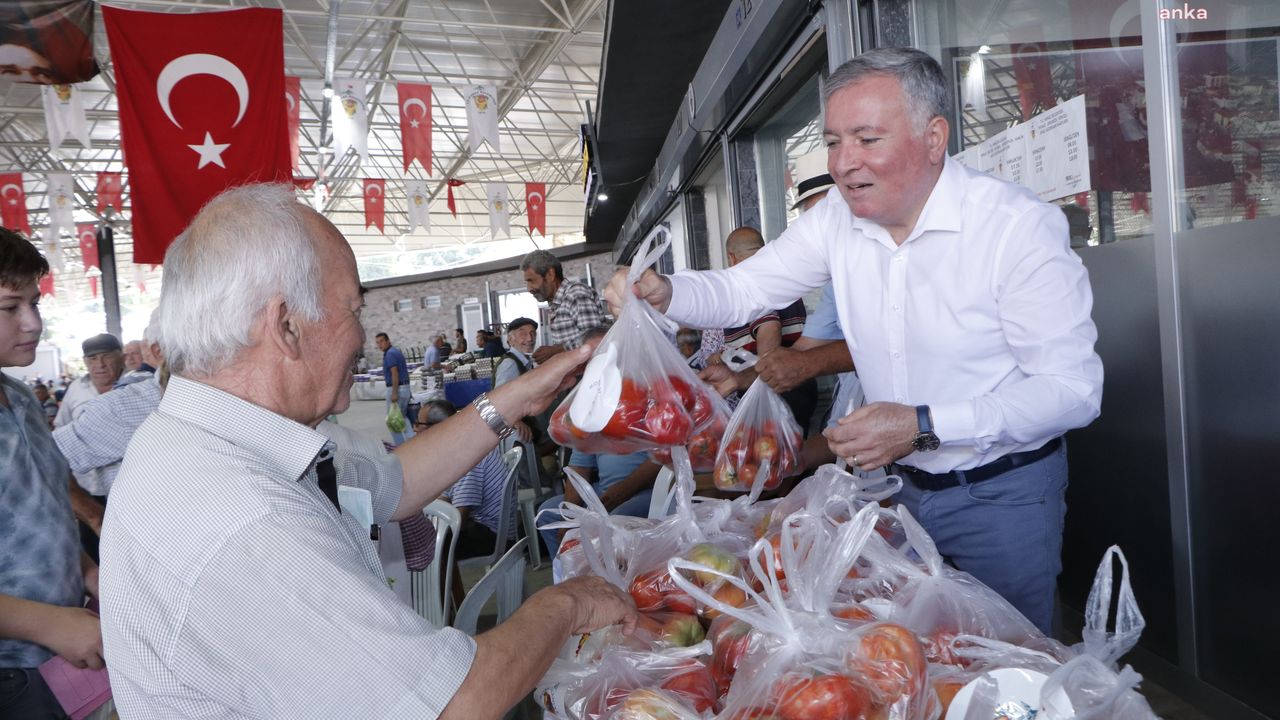 Honaz Belediyesi, kendi arazilerinde yetiştirdiği domatesleri hasat ederek halka ücretsiz dağıttı