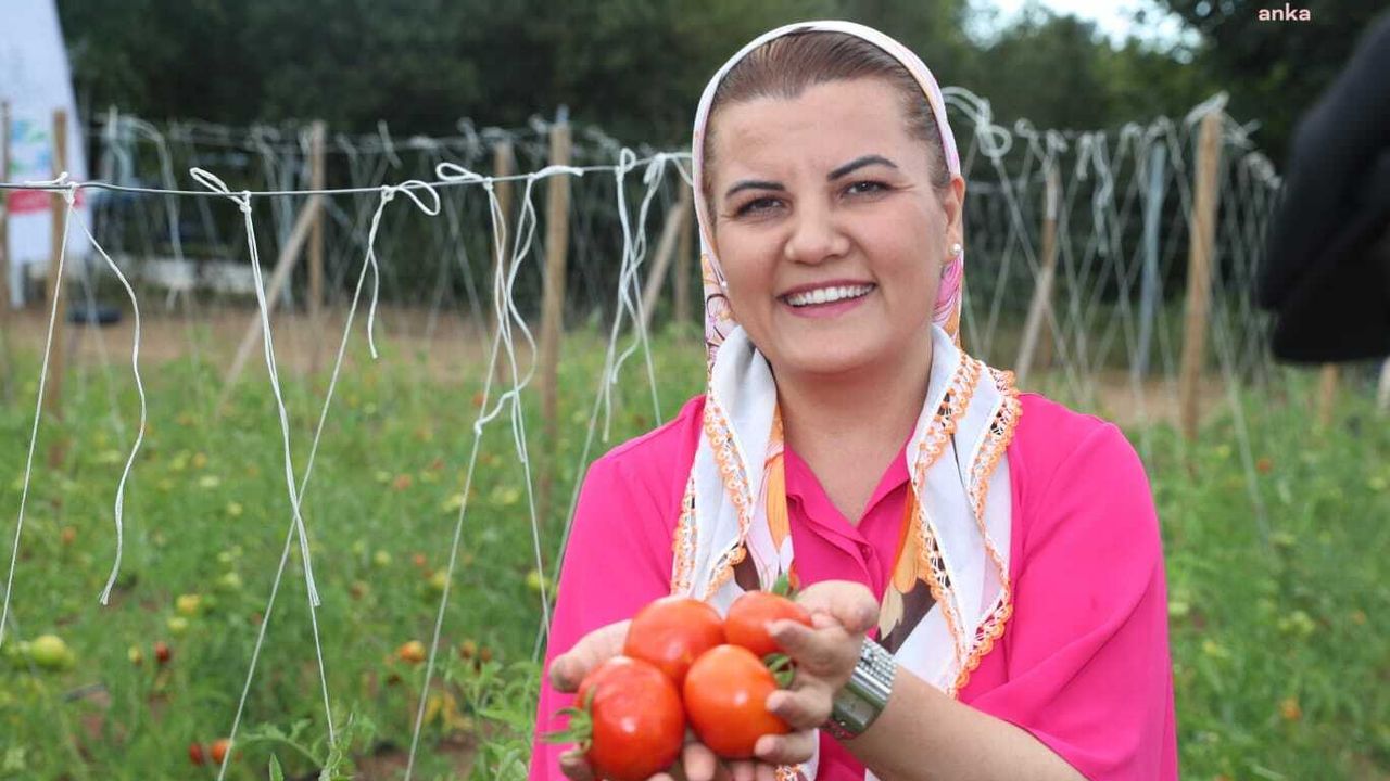İzmit Belediyesi, ekilen sebzeleri Hasat Şenliği'nde topladı