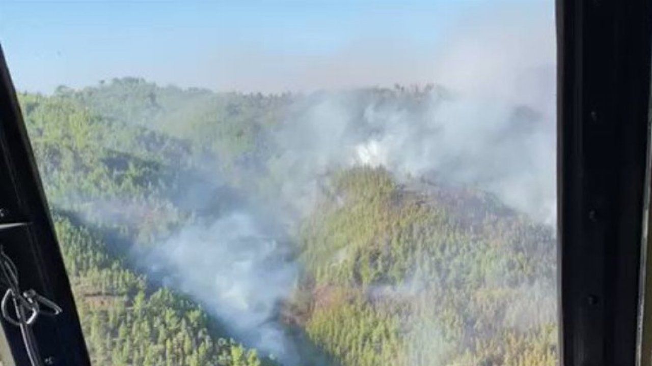 Antalya Alanya'da orman yangınına müdahale sürüyor