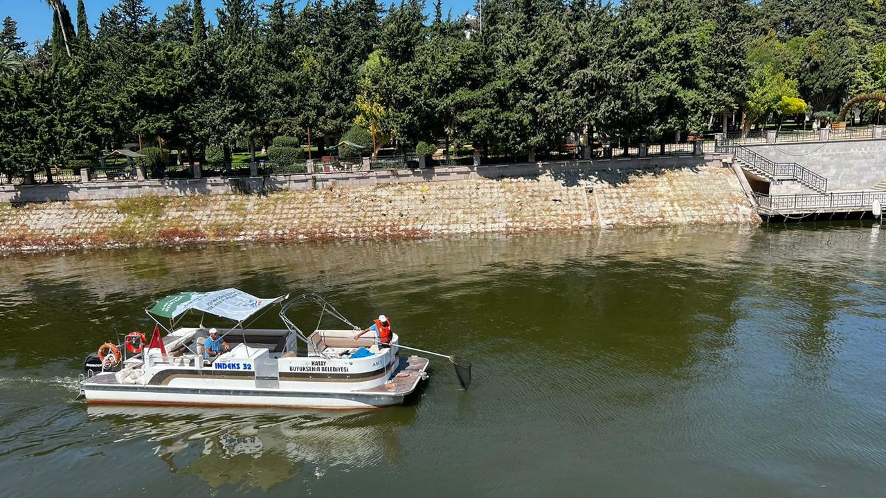 Hatay Büyükşehir ekipleri su sümbüllerini temizliyor
