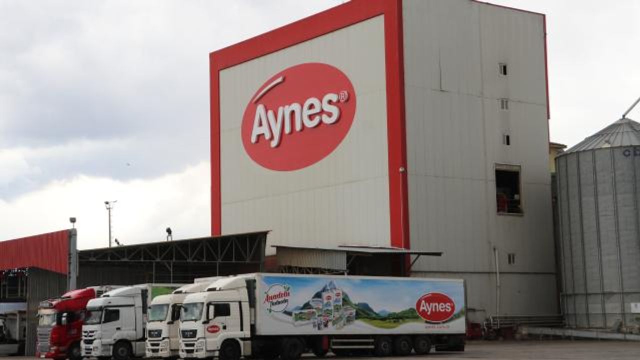 Türkiye Tarım Kredi Kooperatifleri, Aynes Gıda'yı satın aldı