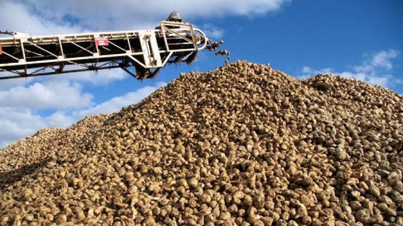 Tarım ve Orman Bakanı Kirişçi Şeker pancarı alım fiyatlarını açıkladı