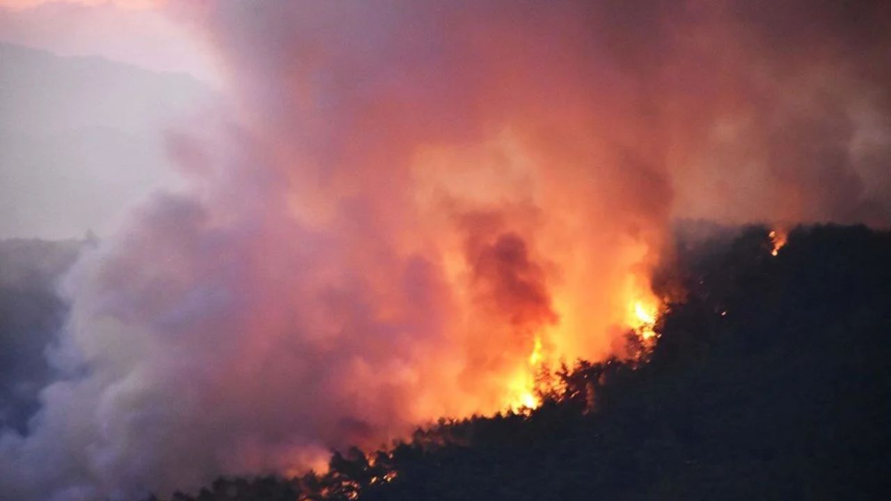 Gökova'da orman yangını: Müdahale başladı