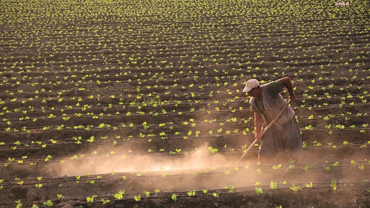 2022 yılı tarım destekleri açıklandı: Çiftçilere destek ödemeleri 2023 yılında yapılacak