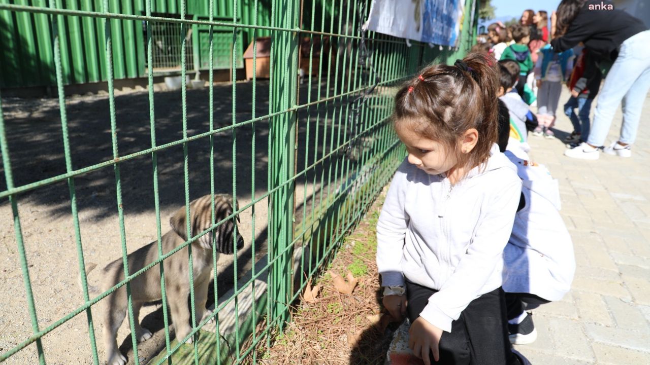 4 Ekim Hayvanları Koruma Günü’nde Burhaniyeli miniklerden anlamlı ziyaret