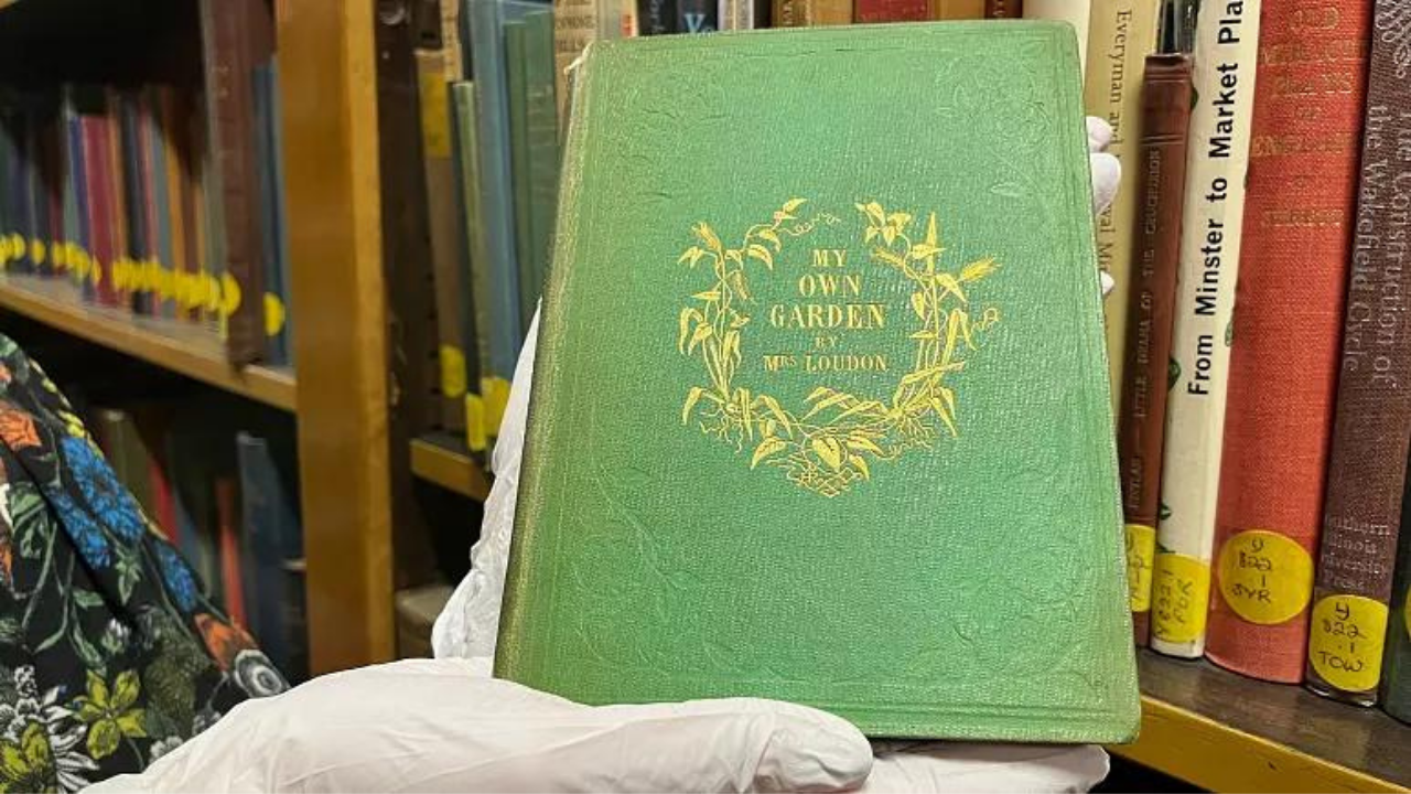 İngiltere'de bir kütüphanede arsenikle renklendirilmiş 'zehirli' kitap bulundu
