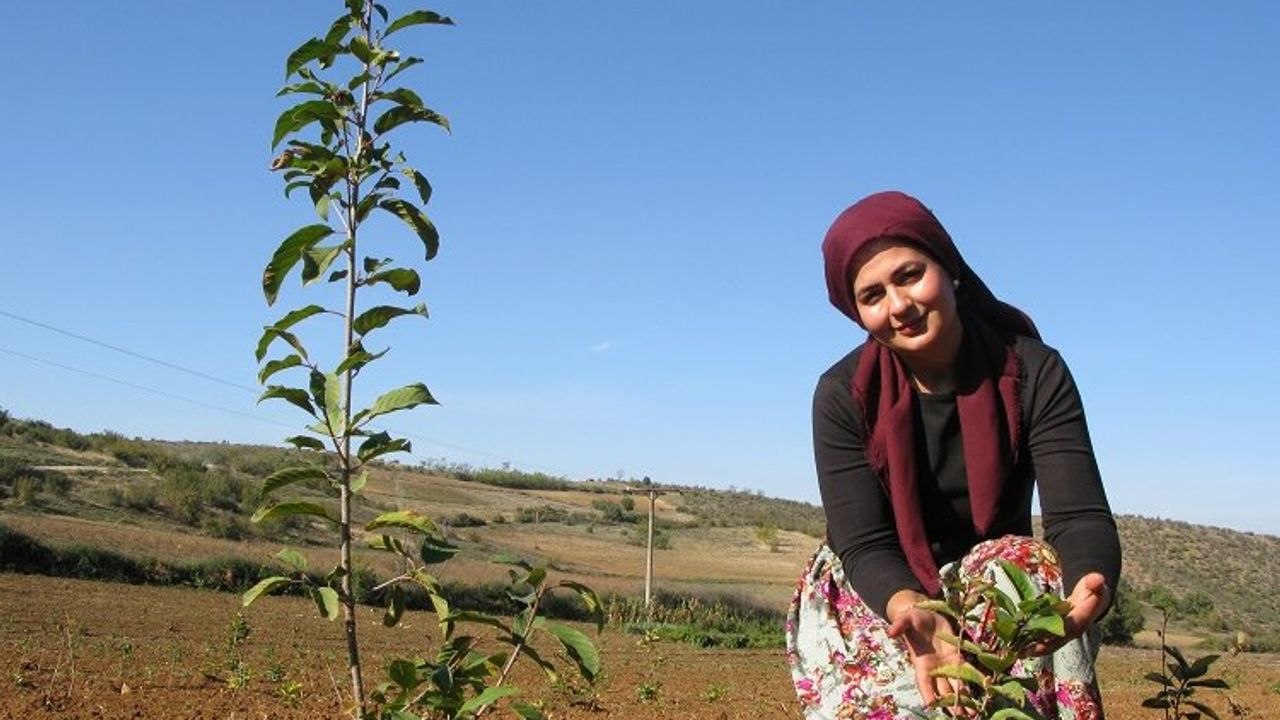 Bursa Yenişehir tarımına alternatif ürün arayışları