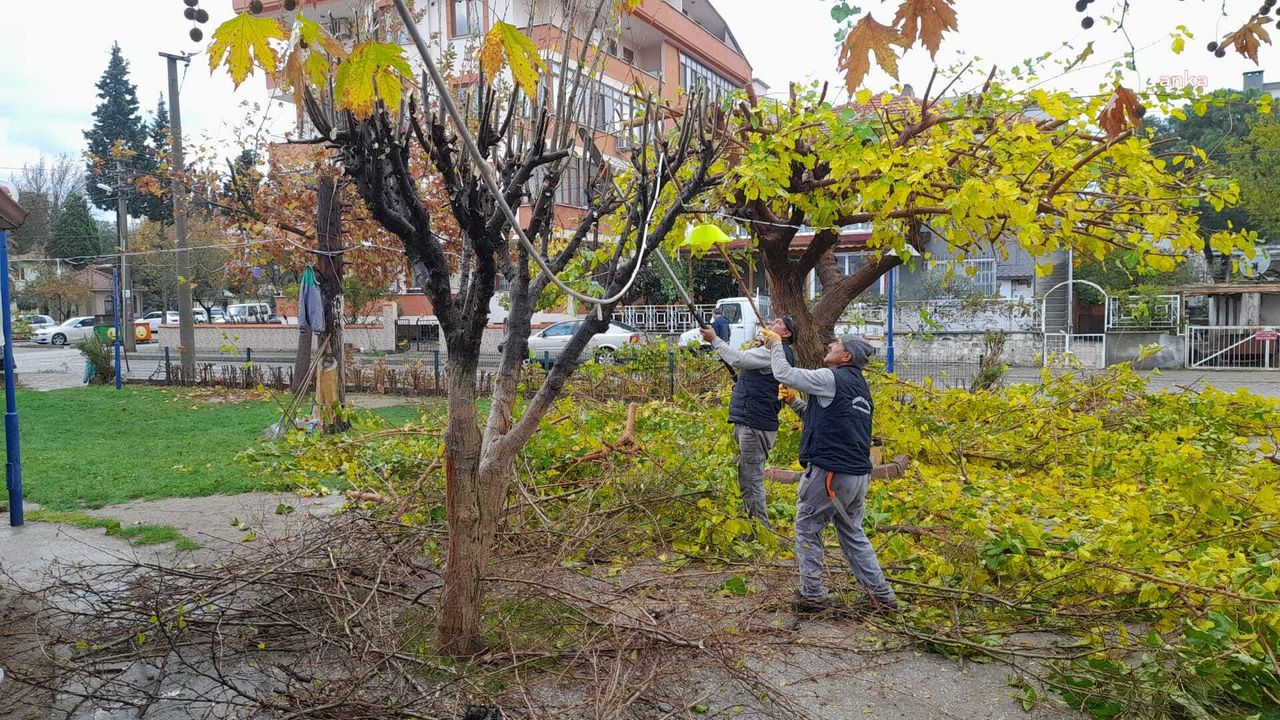 Burhaniye Belediyesi parklarda yenileme çalışmalarına başladı