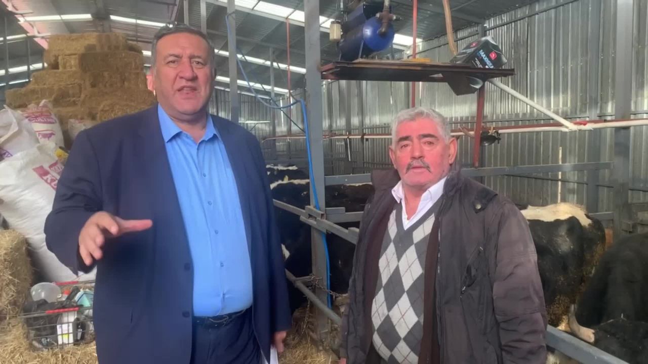 Süt inekçiliğinde alarm çanları: Yem fiyatları sübvanse edilmeli, devlet desteklemeli