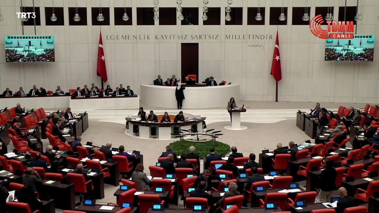 Oya Ersoy: Türkiye, emperyalist devletlerin, tekellerin çöplüğü haline geldi