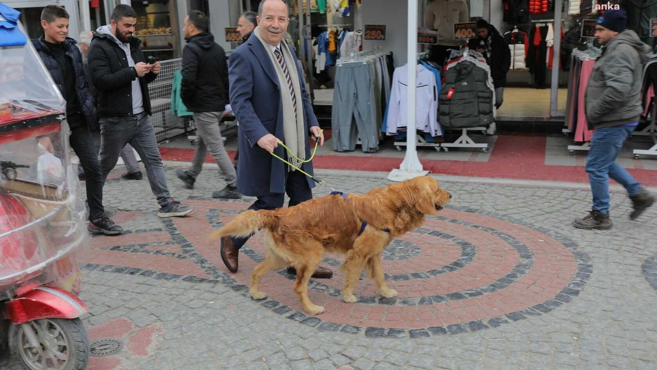 Edirne Belediye Başkanı Gürkan, sahiplendiği Foks ile şehir turuna çıktı