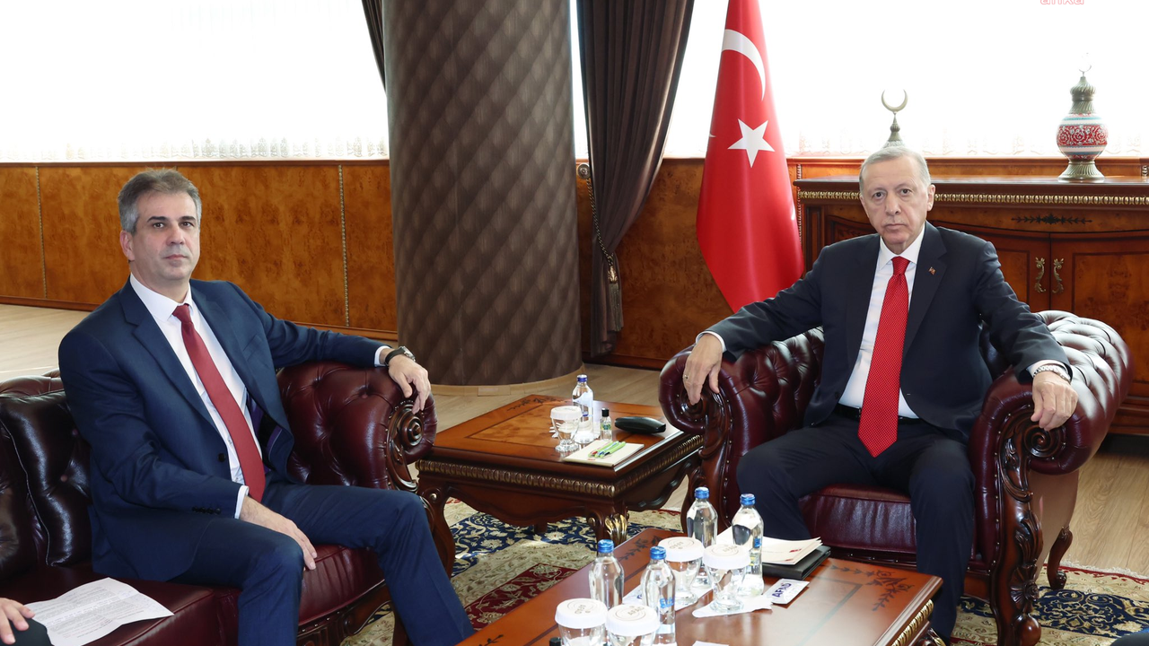 Erdoğan, İsrail Dışişleri Bakanı Cohen ile görüştü