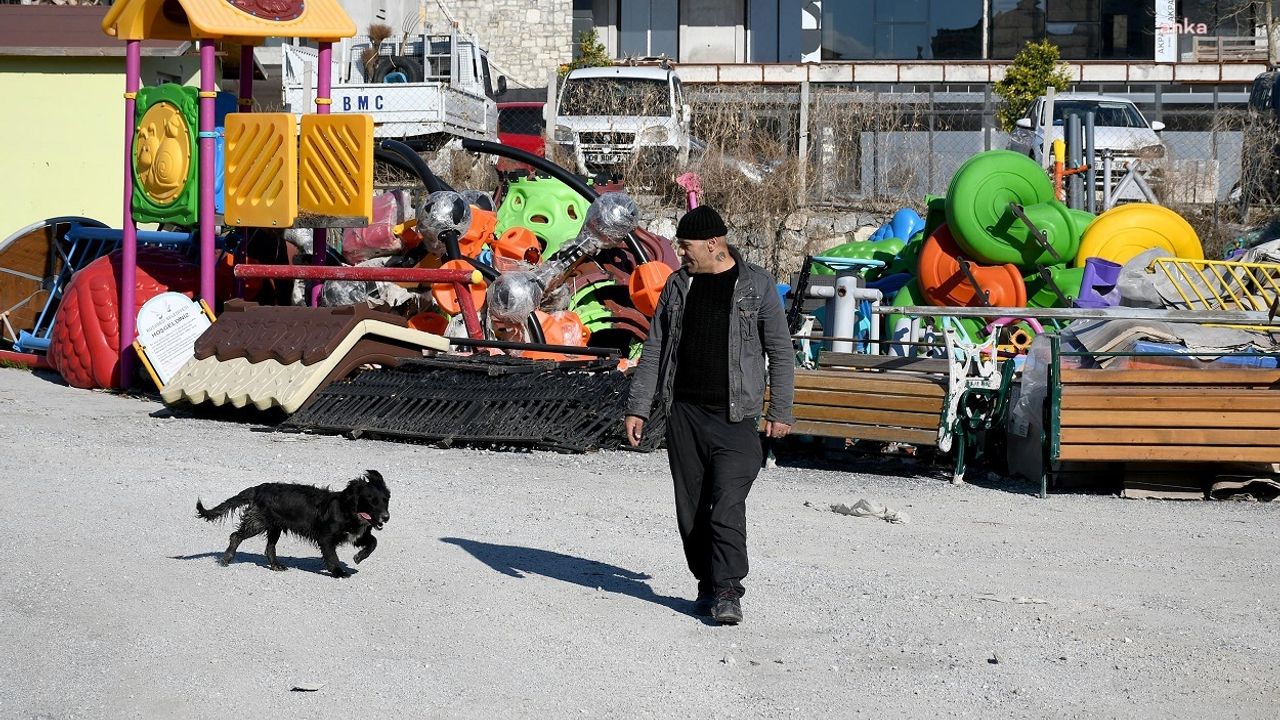 Kuşadası Belediyesi’nin tedavi ettiği köpek 'Karam', yeniden yürümeye başladı