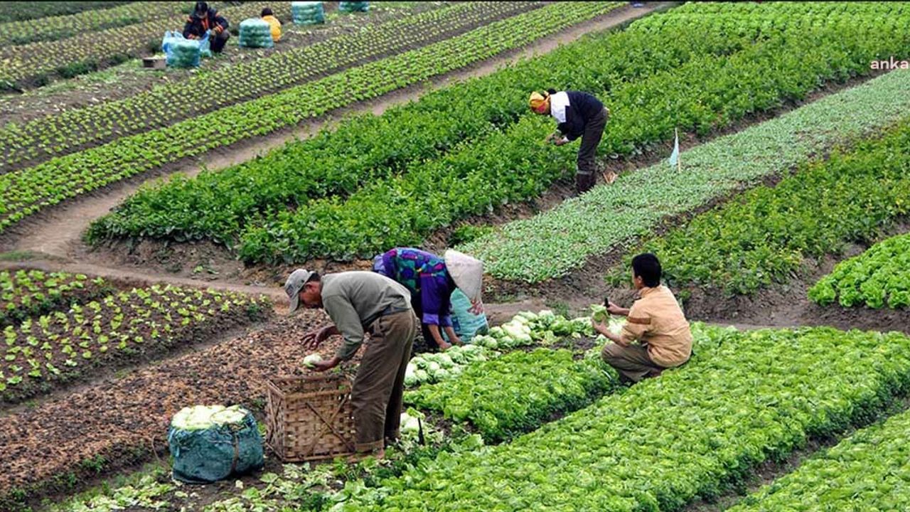 TÜİK: Aralık ayında tarımsal girdilerde yüzde 103,14 fiyat artışı oldu