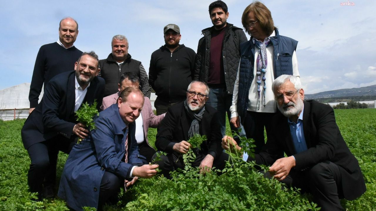 Arsuz Belediye Başkanı Güven, tarımsal üretim sahalarını inceledi