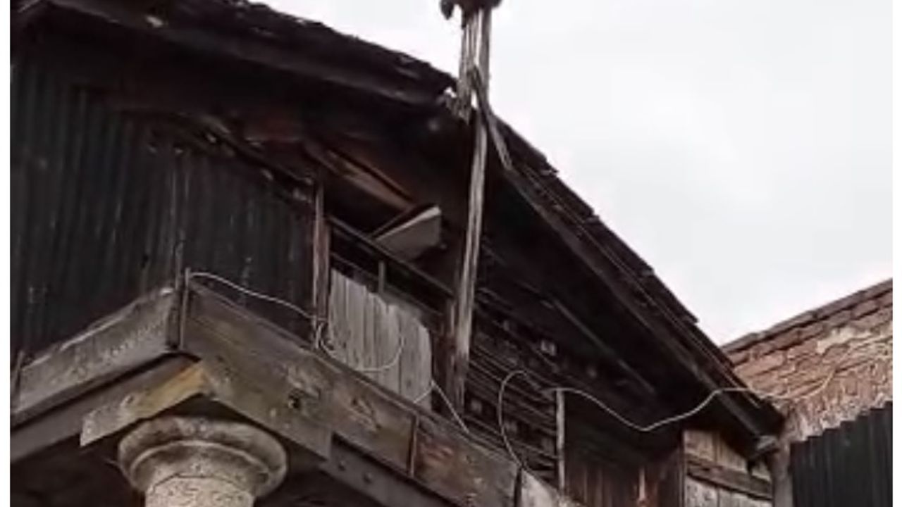 Amasya'da ayağının sıkıştığı çatıda asılı kalan gelinciği itfaiyeciler kurtardı